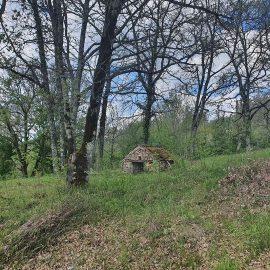  NITESCENCE : Terrain | CAMPAGNAC-LES-QUERCY (24550) | 0 m2 | 65 000 € 