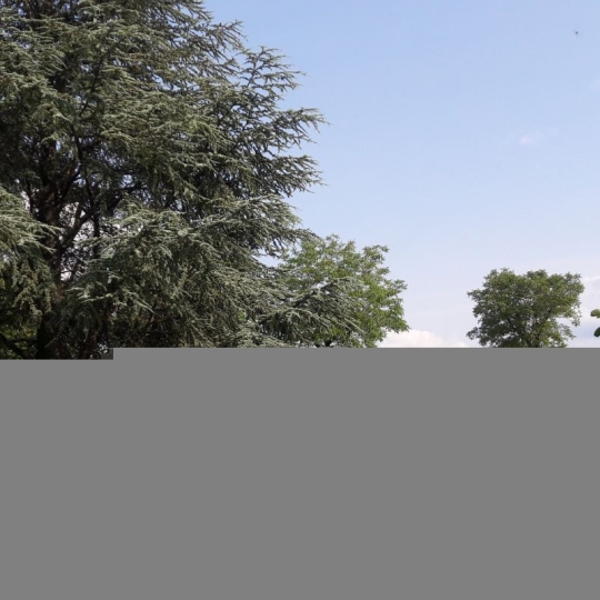  NITESCENCE : House | LAMOTHE-CASSEL (46240) | 197 m2 | 172 000 € 