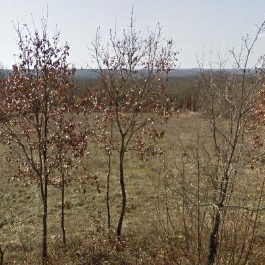  NITESCENCE : Ground | ESCLAUZELS (46090) | 0 m2 | 74 000 € 