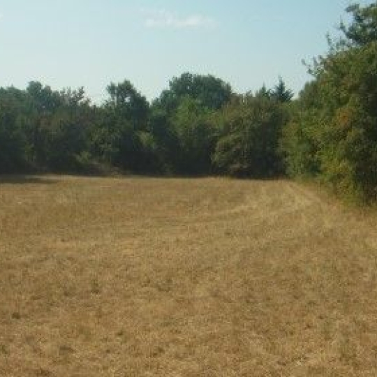  NITESCENCE : Ground | BACH (46230) | 69 m2 | 80 000 € 