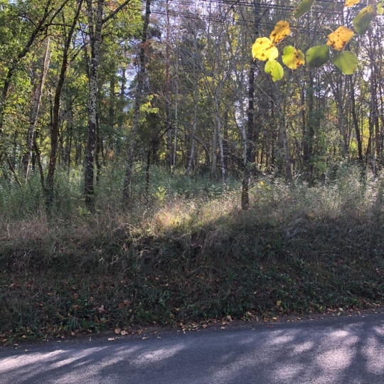 Annonces QUERCY : Terrain | LUZECH (46140) | m2 | 35 500 € 