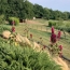  Annonces QUERCY : Domaines / Propriétés | CAHORS (46000) | 225 m2 | 748 800 &euro; 
