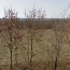  NITESCENCE : Ground | ESCLAUZELS (46090) | 0 m2 | 74 000 € 