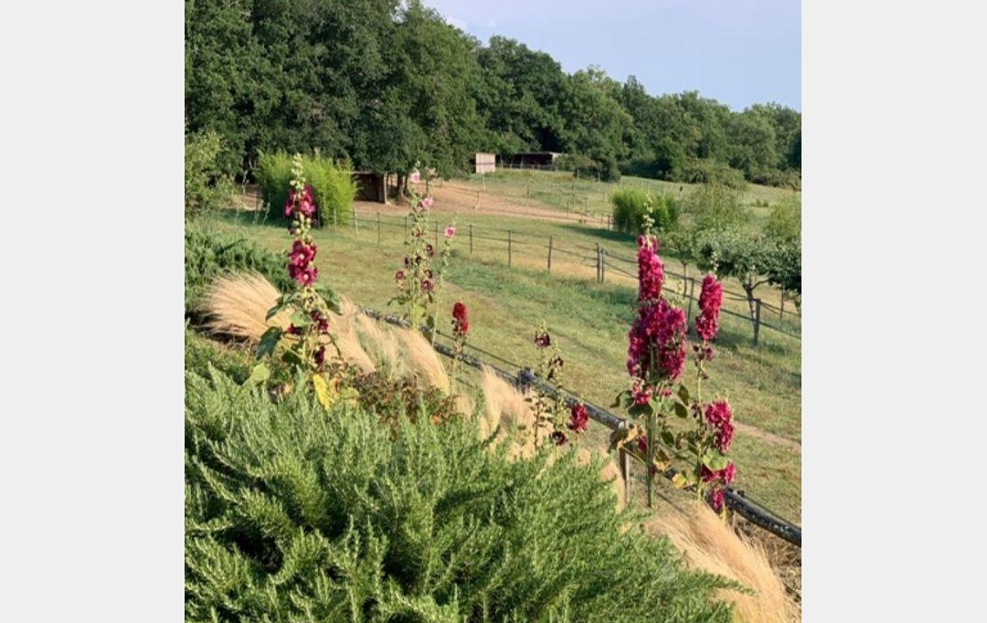 Annonces QUERCY : Domaines / Propriétés | CAHORS (46000) | 225 m2 | 748 800 &euro; 
