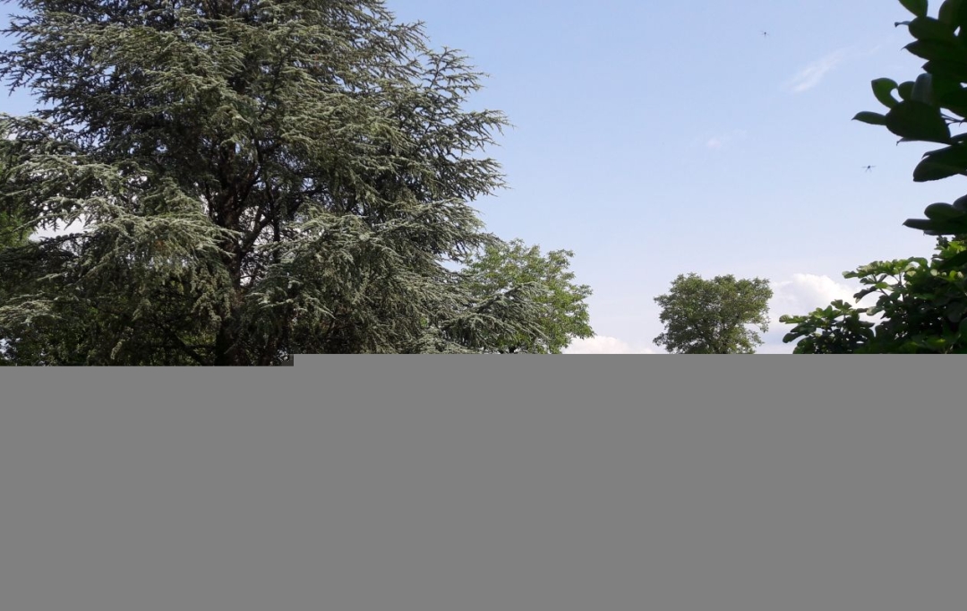 NITESCENCE : House | LAMOTHE-CASSEL (46240) | 197 m2 | 172 000 € 