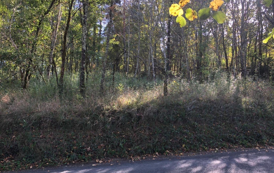 Annonces QUERCY : Terrain | LUZECH (46140) | 0 m2 | 35 500 &euro; 