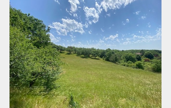 Maison CRAYSSAC 211 m2 475 000 € Maison CRAYSSAC 211 m2 475 000 €