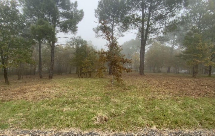 NITESCENCE Terrain | THEDIRAC (46150) | 0 m2 | 25 000 € 
