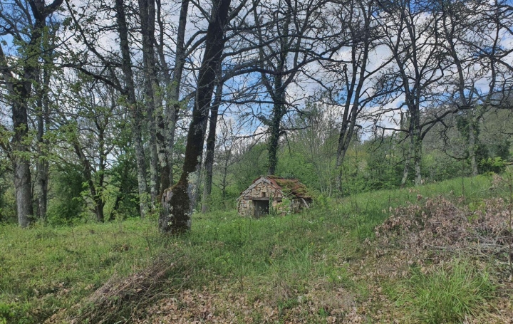  NITESCENCE Terrain | CAMPAGNAC-LES-QUERCY (24550) | 0 m2 | 65 000 € 