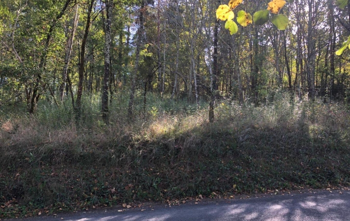 Terrain   LUZECH   35 500 € 